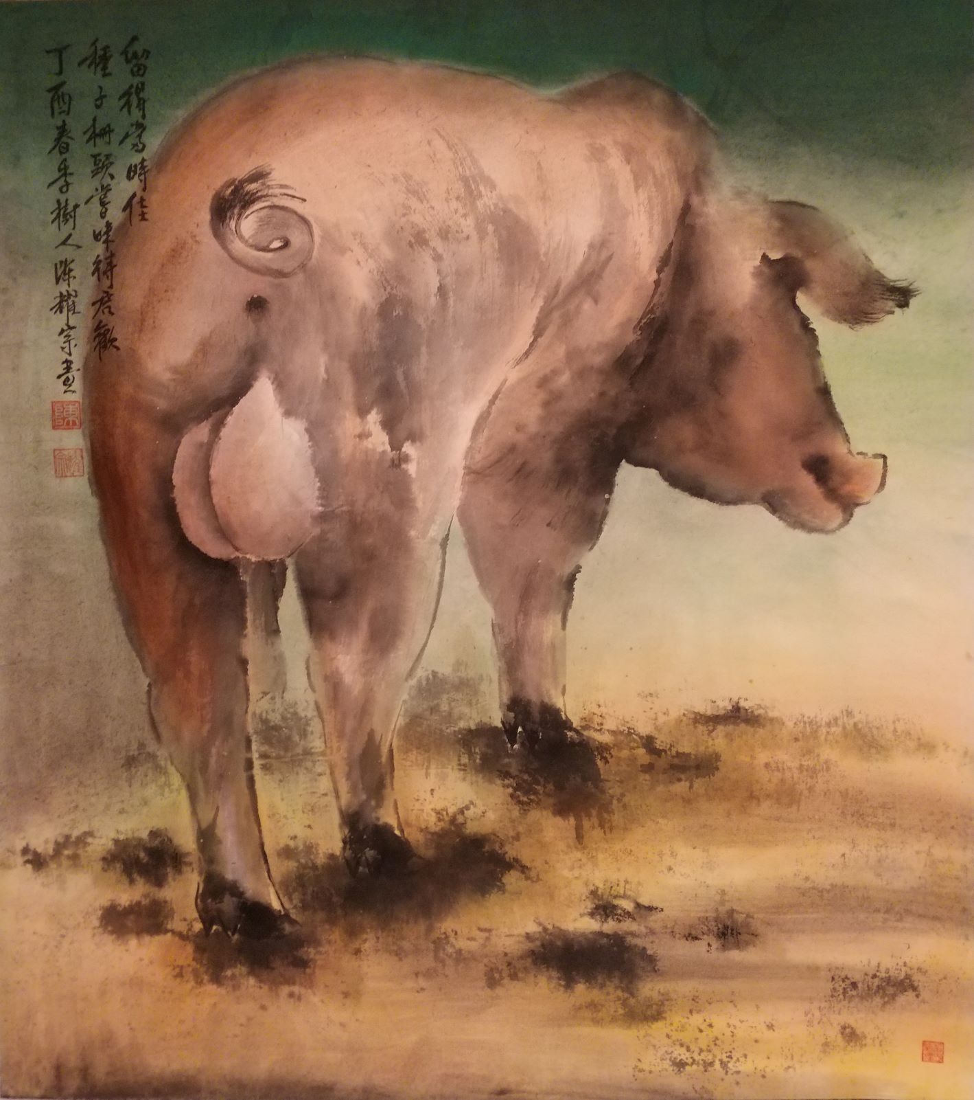 特優種豬