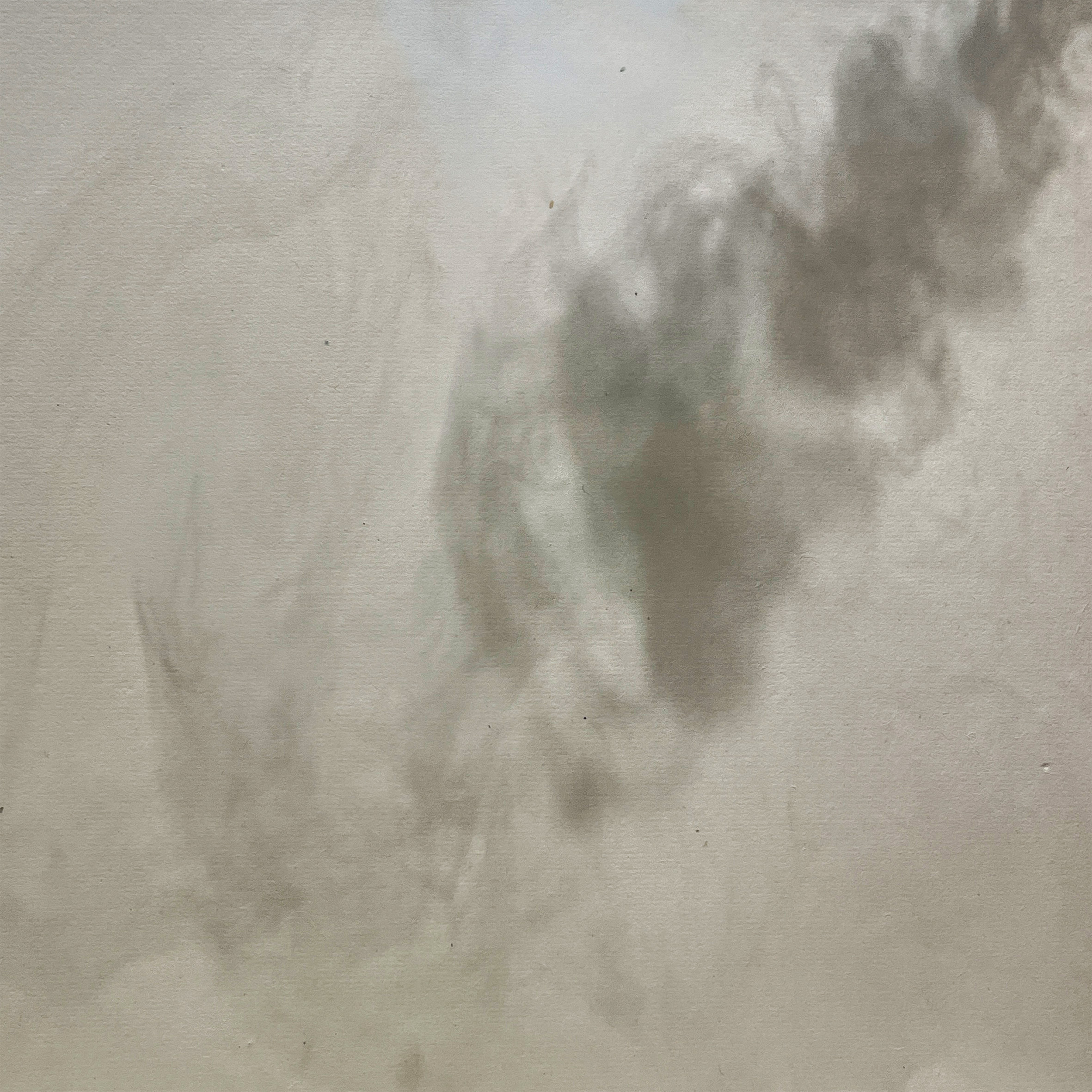 翰墨情懷｜阿里山午後